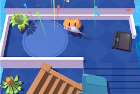 小猫捉老鼠[图1]