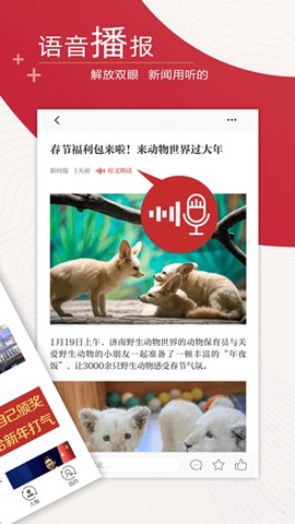 新时报截图2