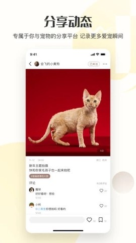 集宠区[图1]