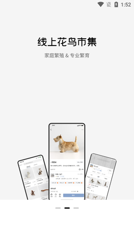 集宠区截图3