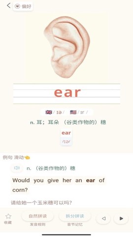 轻记单词截图1