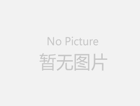 在逃公主截图2
