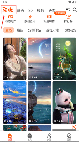 壁纸精灵[图1]