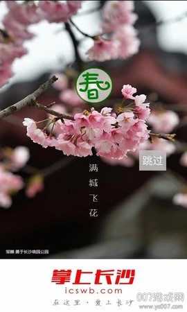 掌上长沙截图2