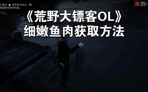 荒野大镖客鱼肉怎么烹饪