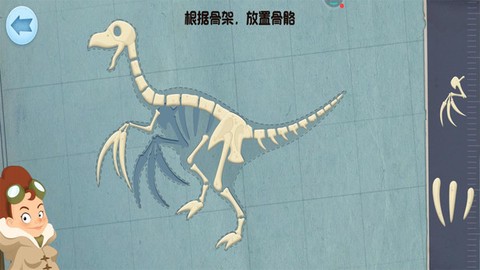 模拟恐龙拼装[图3]