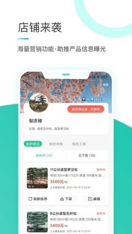 苗搭档[图1]