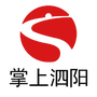 掌上泗阳