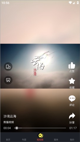 熊猫视频截图3