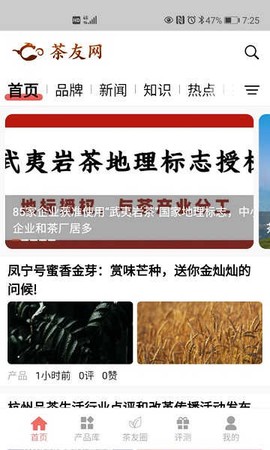 单身夜聊交友截图1