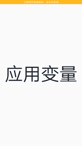 应用变量截图3