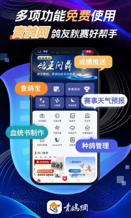 青鸽网截图1