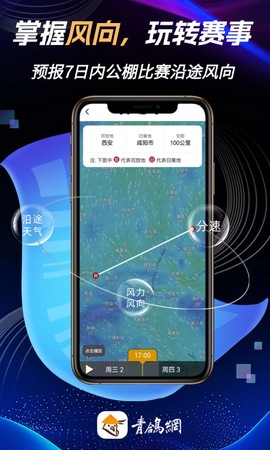 青鸽网截图2