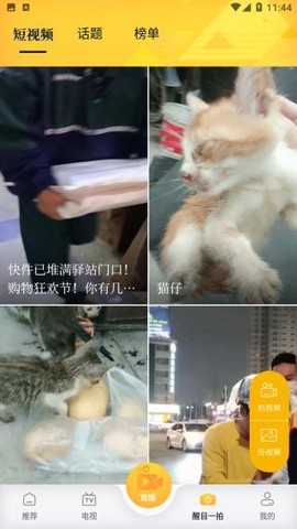 醒目视频[图4]