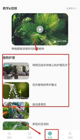 花草录[图4]
