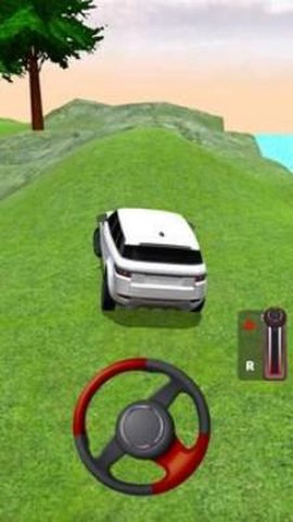 真实汽车驾驶3D截图2