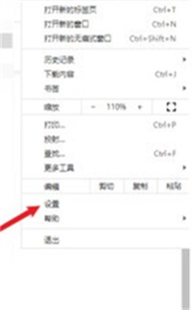 谷歌浏览器海外版[图3]