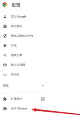 谷歌浏览器海外版[图4]