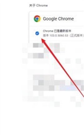 谷歌浏览器海外版[图5]