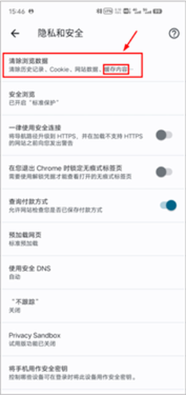 谷歌浏览器海外版[图9]