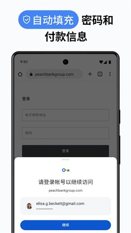 谷歌浏览器海外版截图1