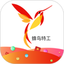蜂鸟特工