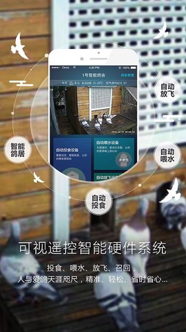 爱鸽者截图1