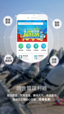 爱鸽者截图2