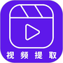视频提取助手