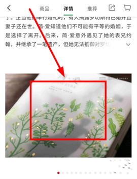 西西弗[图5]