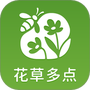 花草多点