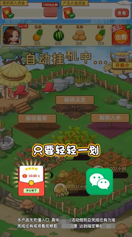桃源村物语截图2