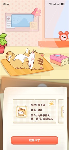 桌面喵截图1