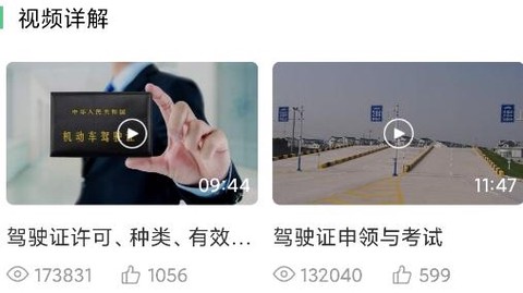 斑斑驾道定制版[图2]