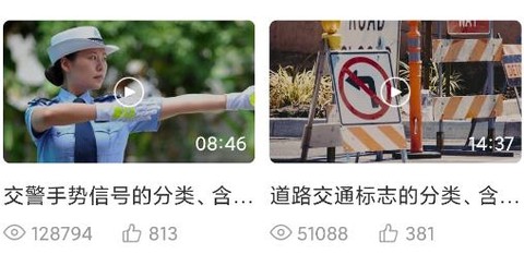 斑斑驾道定制版[图3]
