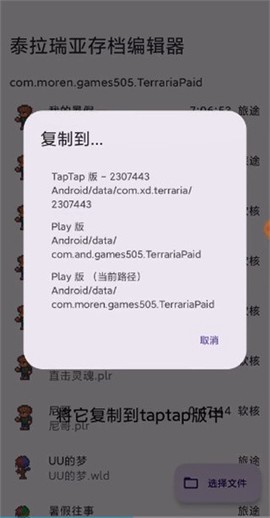 泰拉瑞亚存档管理器[图8]