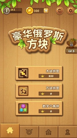 俄罗斯方块截图2