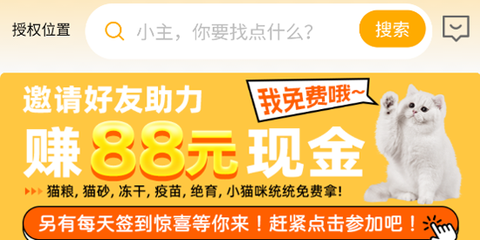 喵鑫球宠物[图1]