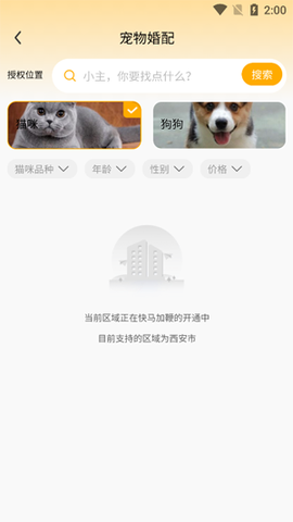 喵鑫球宠物[图2]