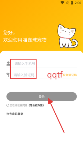喵鑫球宠物[图4]