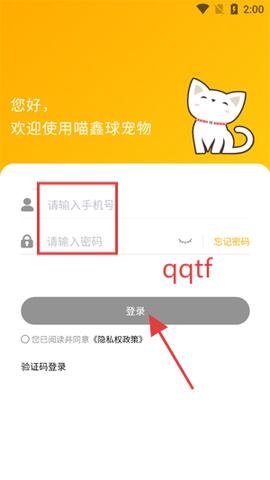 喵鑫球宠物[图5]