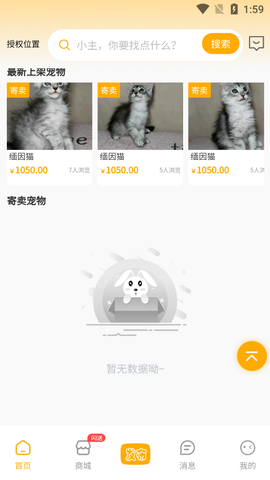 喵鑫球宠物截图1