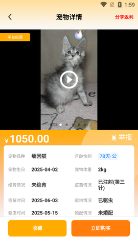 喵鑫球宠物截图2