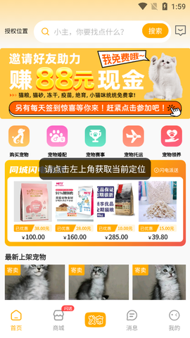 喵鑫球宠物截图3
