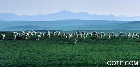云上乌拉特后旗[图1]
