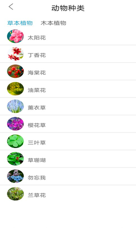 丛林宝典截图3