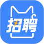 招聘猫