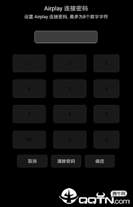 蓝莓投屏截图3