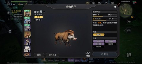 荒原曙光[图3]