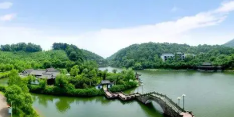 掌中常山[图3]